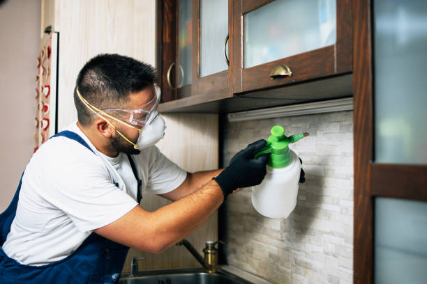 Mullins, SC Pest Control Company