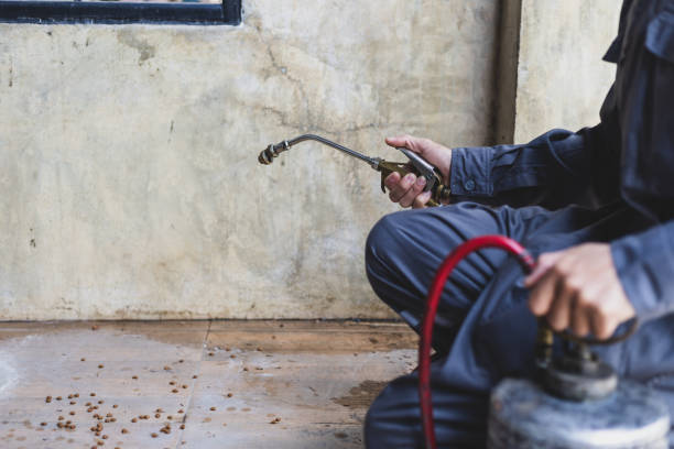 Best Ant Control Services  in Mullins, SC